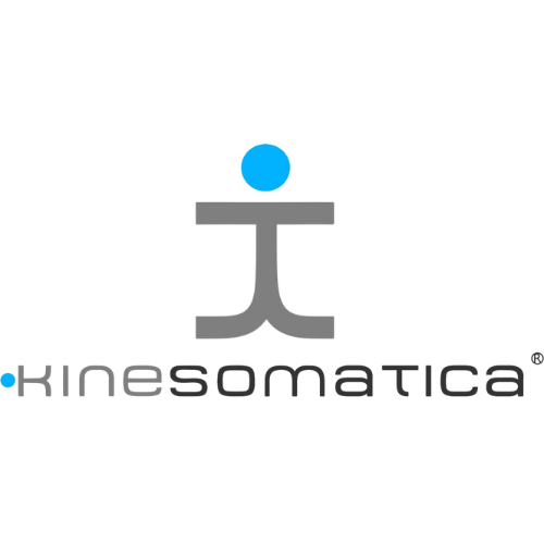 Logo di Kinesomatica